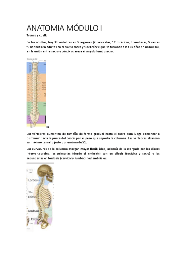 Miniatura del documento ANATOMIA-MODULO-1.pdf
