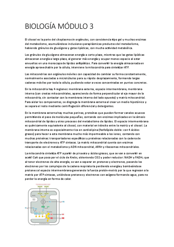 Miniatura del documento BIOLOGIA-MODULO-3.pdf