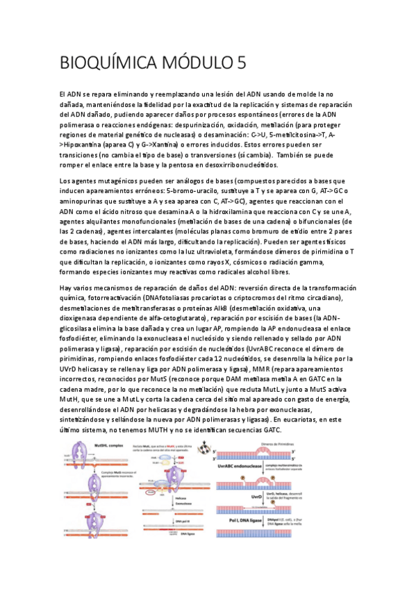 Miniatura del documento BIOQUIMICA-MODULO-5.pdf
