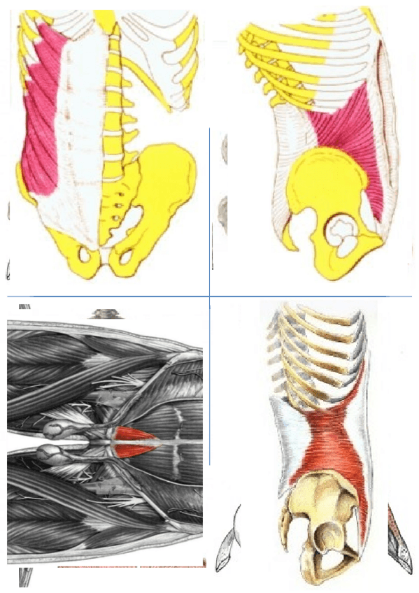 Miniatura del documento tarjetas torax.docx