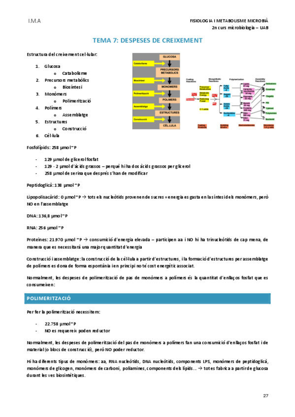 Miniatura del documento Tema-7.pdf