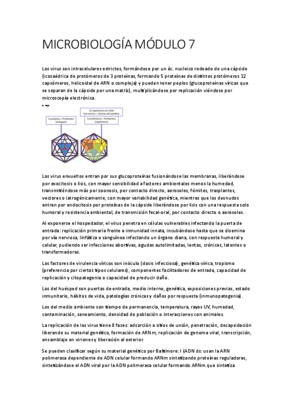 Miniatura del documento MICROBIOLOGIA-MODULO-7.pdf