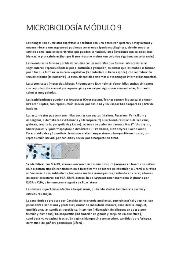 Miniatura del documento MICROBIOLOGIA-MODULO-9.pdf