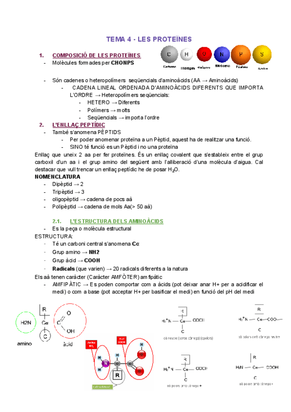 Miniatura del documento T4.-LES-PROTEINES.pdf