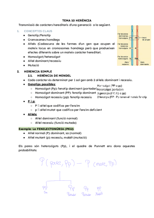 Miniatura del documento T.7-HERENCIA-GR1.pdf