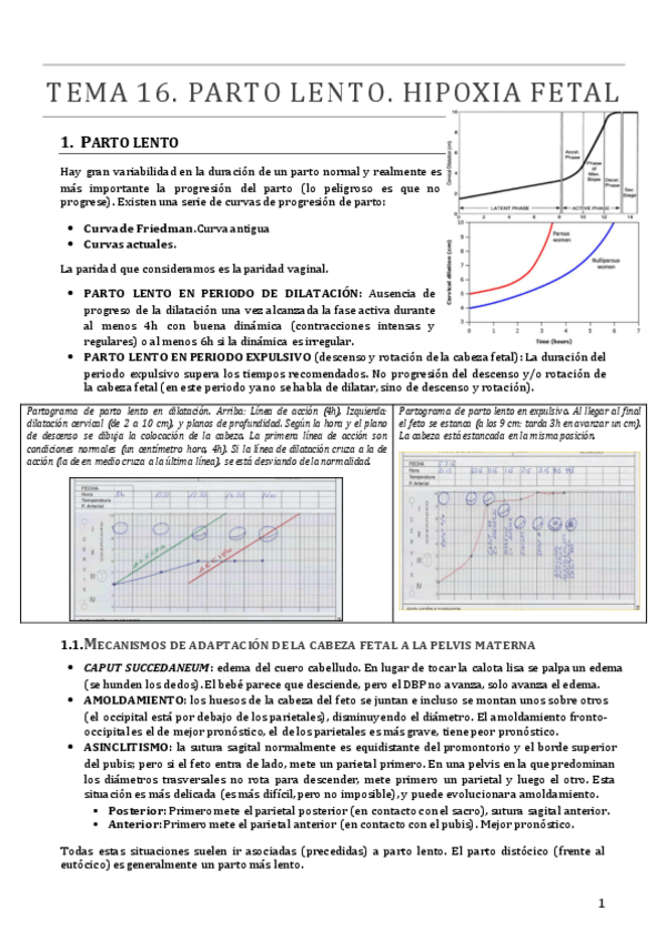 Miniatura del documento TEMA 16.pdf