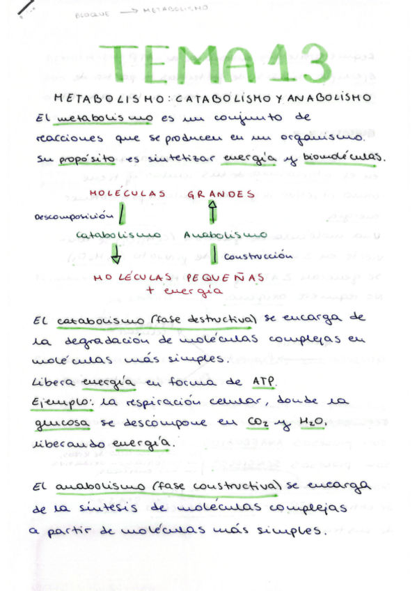 Miniatura del documento tema-13-biologia.pdf
