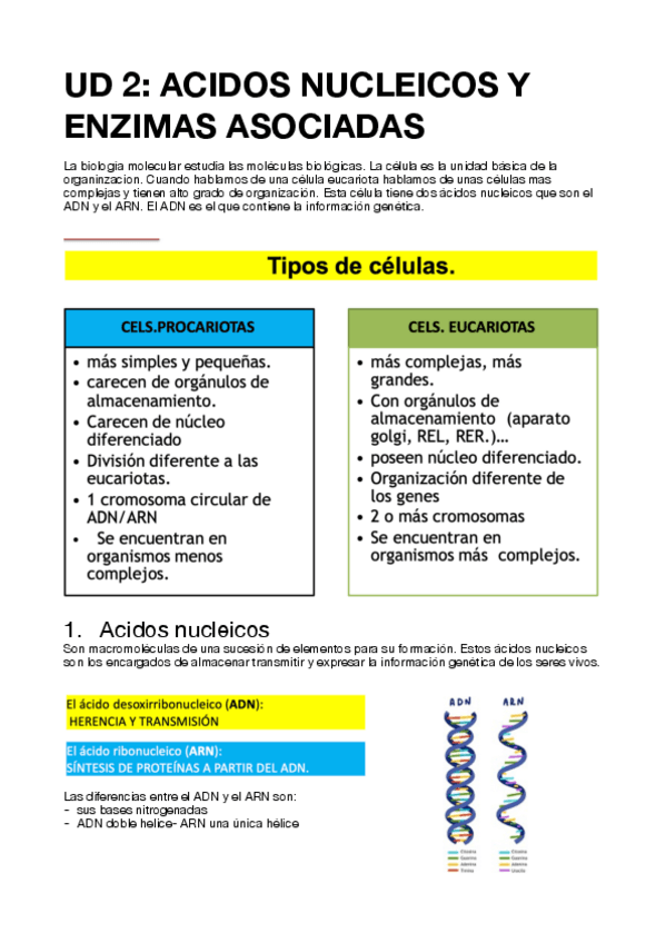 Miniatura del documento UD2-BIOMOL.pdf