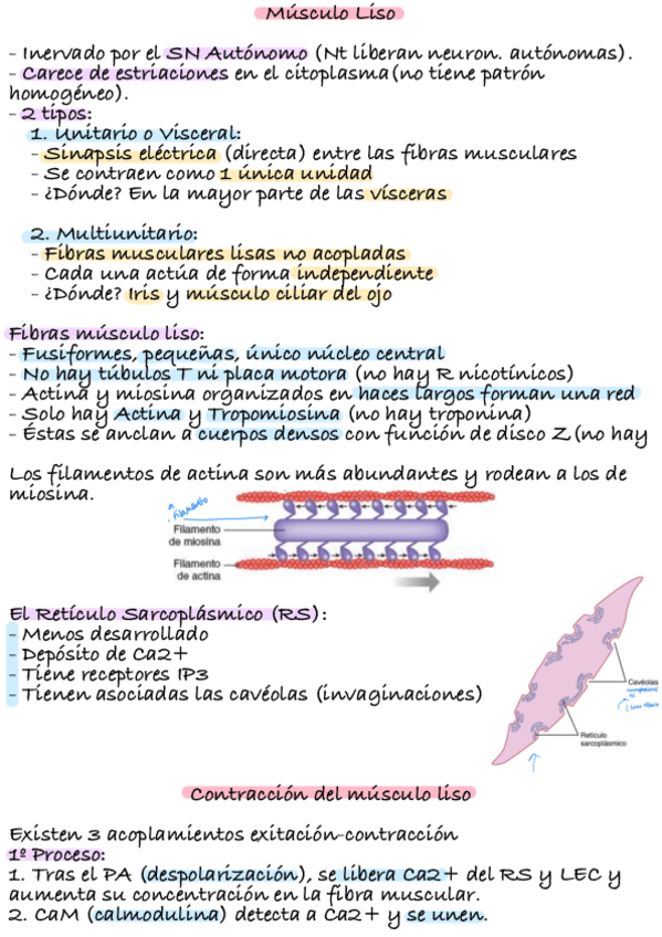 Miniatura del documento Tema-7-Bloque-3.pdf