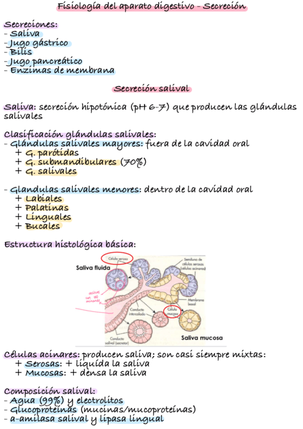 Miniatura del documento Tema-15-Bloque-7.pdf
