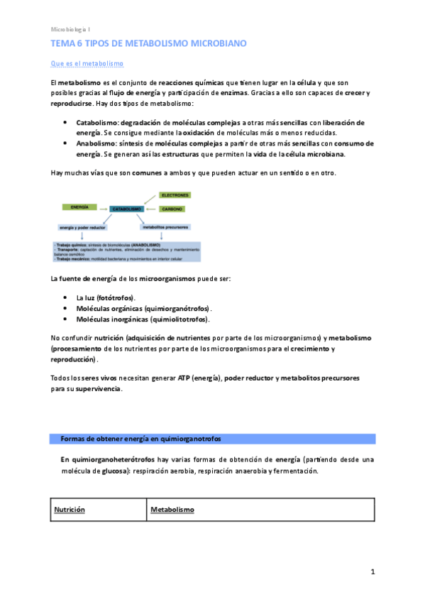 Miniatura del documento Tema-6-Micro-I.pdf