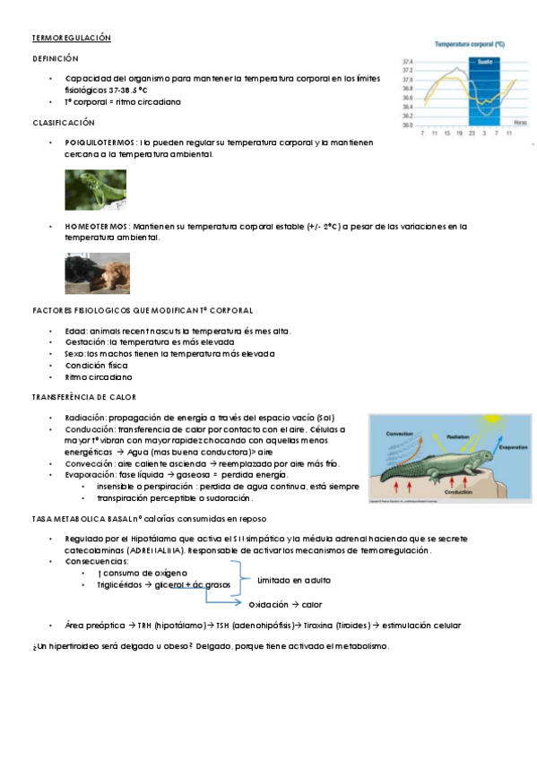 Miniatura del documento Termoregulació.pdf