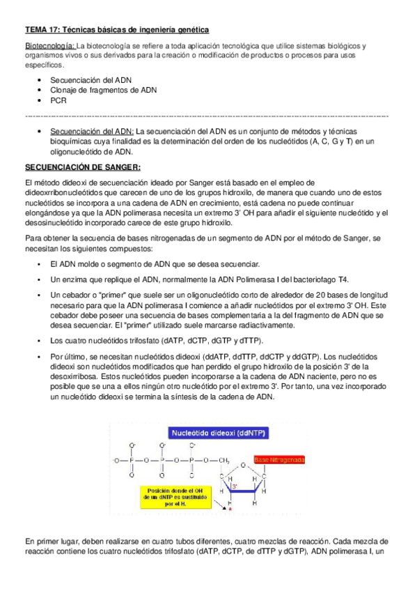 Miniatura del documento TEMA 17.docx