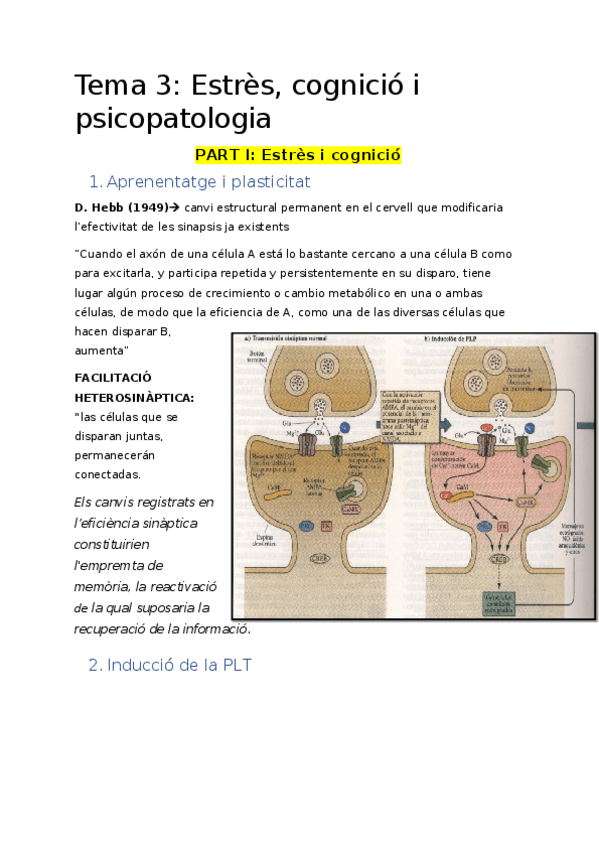 Miniatura del documento TEMA 3. Estrès- cognició i psicopatologia.docx
