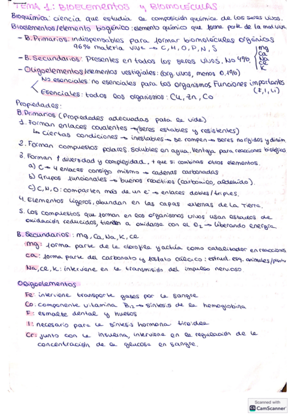 Miniatura del documento Biomoleculas.pdf