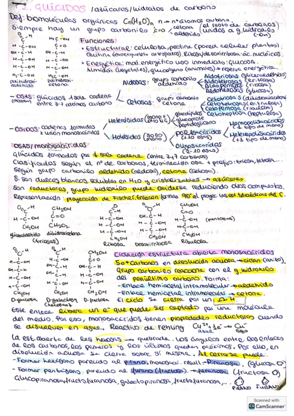 Miniatura del documento Glucidos.pdf