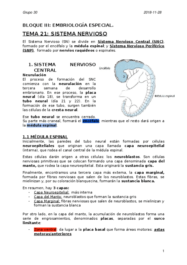 Miniatura del documento 18 + 19 SISTEMA NERVIOSO COMPLETO (1).docx