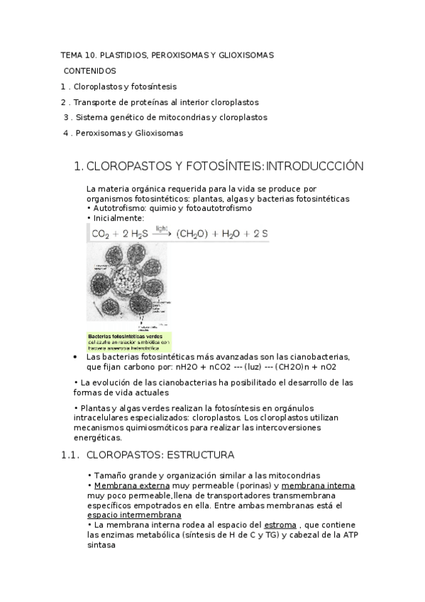 Miniatura del documento TEMA 10.docx