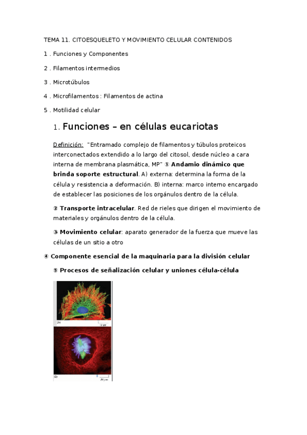 Miniatura del documento tema 11.docx