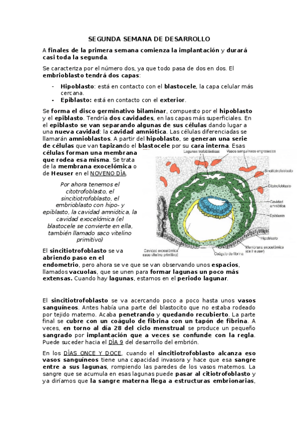 Miniatura del documento SEGUNDA SEMANA.docx