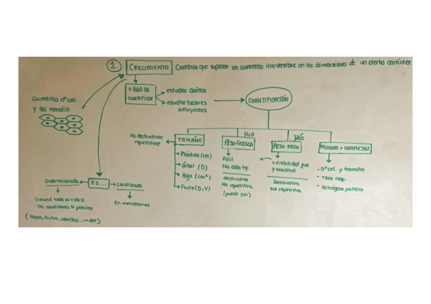 Miniatura del documento Esquema-crecimiento.pdf