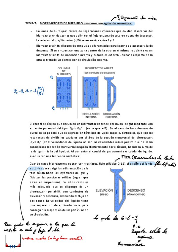 Miniatura del documento Biorreactores-Tema-7-ANOTADO.pdf