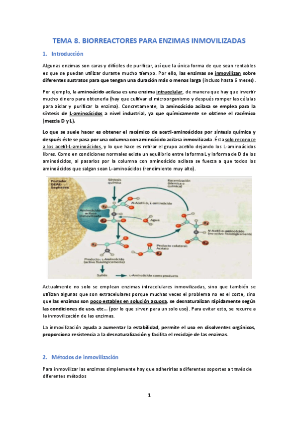 Miniatura del documento Tema-8.-Biorreactores-para-Enzimas-Inmovilizadas.pdf