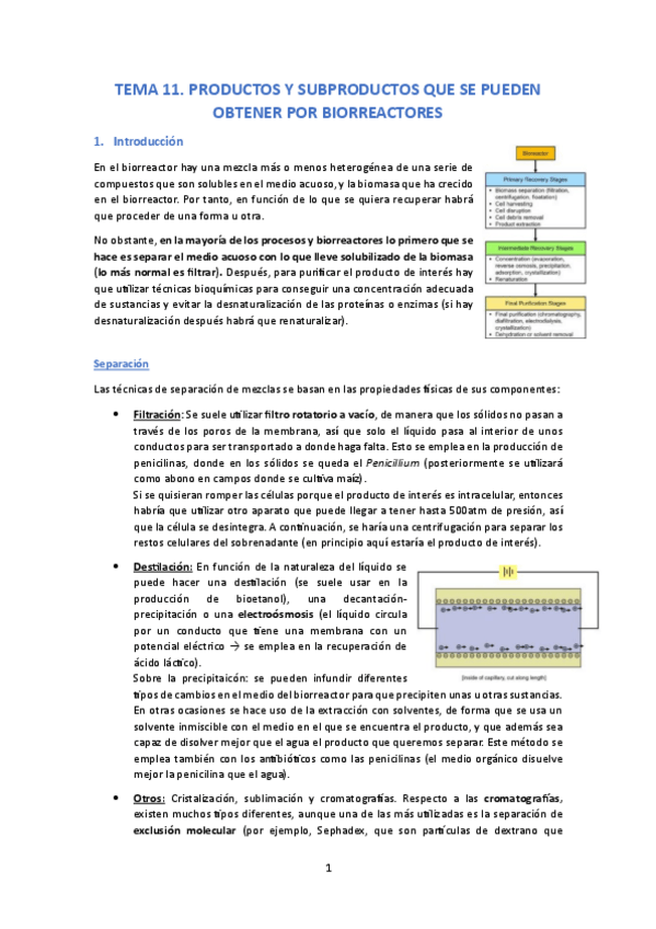 Miniatura del documento Tema-11.-Productos-y-Subproductos-que-se-Pueden-Obtener-por-Biorreactores.pdf