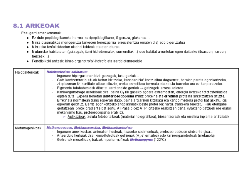Miniatura del documento 8.-gaia-arkeo-eta-Gram-laburpena.pdf