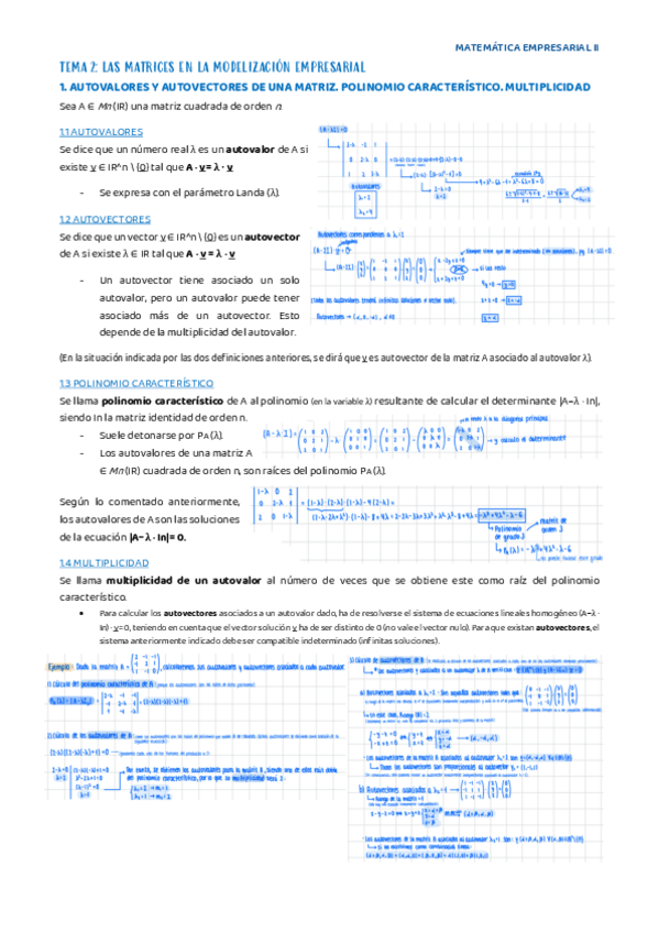 Miniatura del documento tema-2-matematicas.pdf