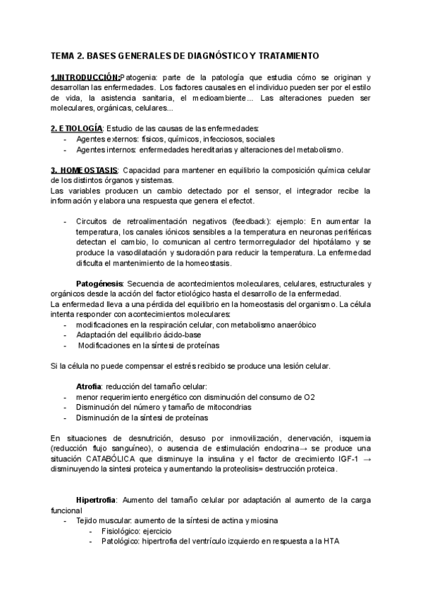 Miniatura del documento BASES-GENERALES.pdf