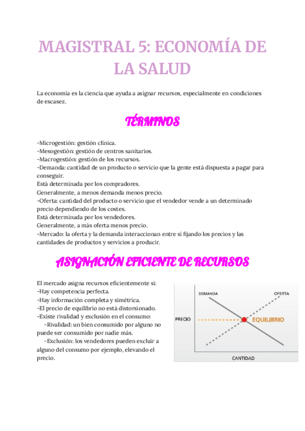 Miniatura del documento MAGISTRAL-5-ECONOMIA-DE-LA-SALUD.pdf