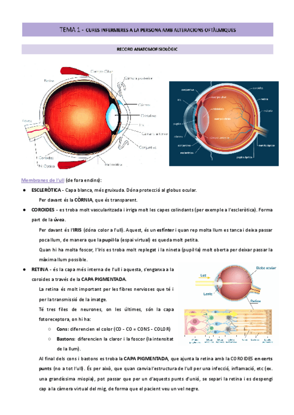 Miniatura del documento TEMA-1-OFTALMO.pdf
