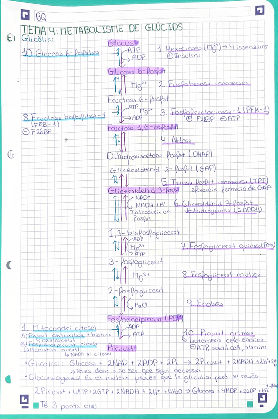 Miniatura del documento BQ-tema-4-resum.pdf