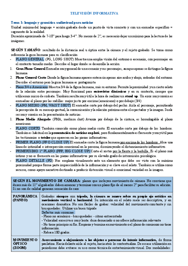 Miniatura del documento TELEVISION-INFORMATIVA.pdf