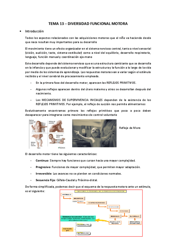 Miniatura del documento T13. Diversidad funcional motora_DIFICULTADES DE APRENDIZAJE Y TRASTORNOS DEL DESARROLLO.pdf