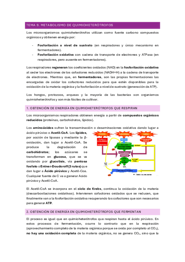 Miniatura del documento TEMA-9.pdf