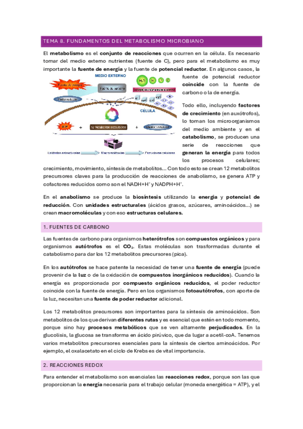 Miniatura del documento TEMA-8.pdf