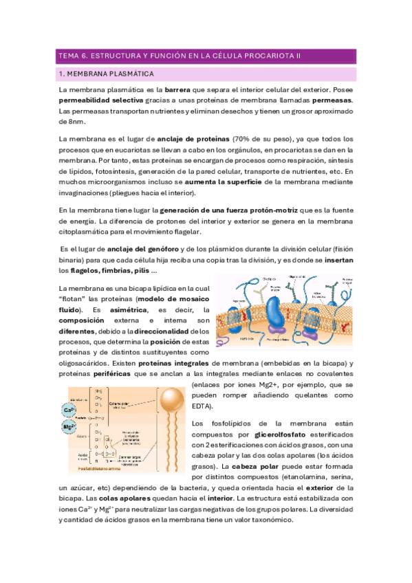Miniatura del documento TEMA-6.pdf