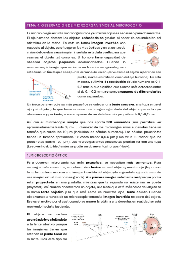 Miniatura del documento TEMA-4.pdf