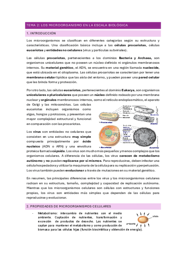 Miniatura del documento TEMA-2.pdf