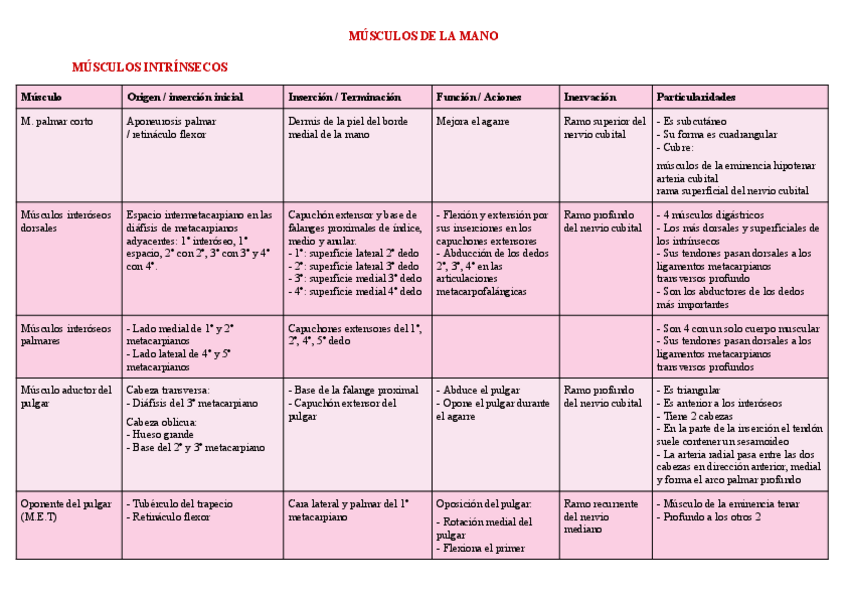 Miniatura del documento anatomia-I-MUSCULOS-DE-LA-MANO-CUADRITOS-Documentos-de-Google.pdf