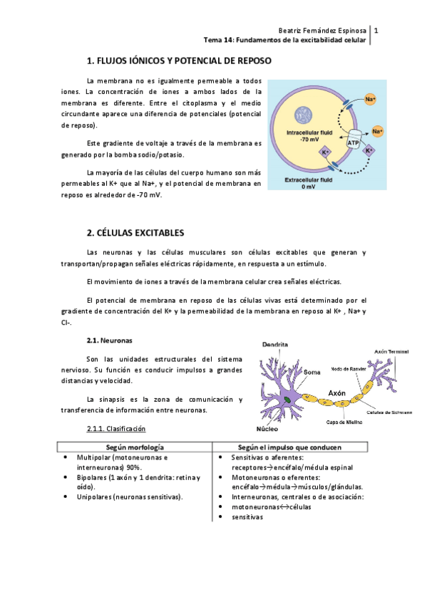 Miniatura del documento Tema 14_ Excitabilidad celular.pdf
