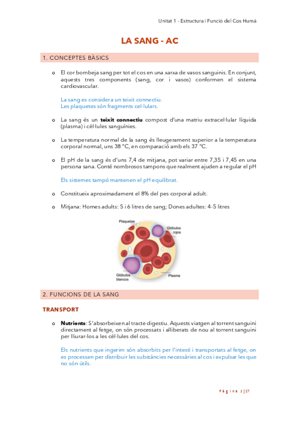 Miniatura del documento Apunts-La-Sang.pdf