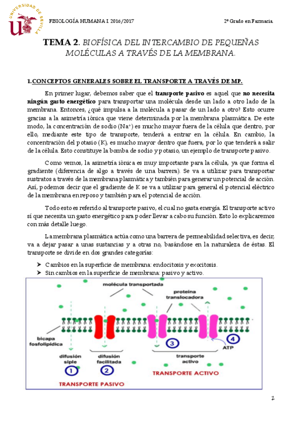 Miniatura del documento TEMA 2 TRANSPORTE.pdf