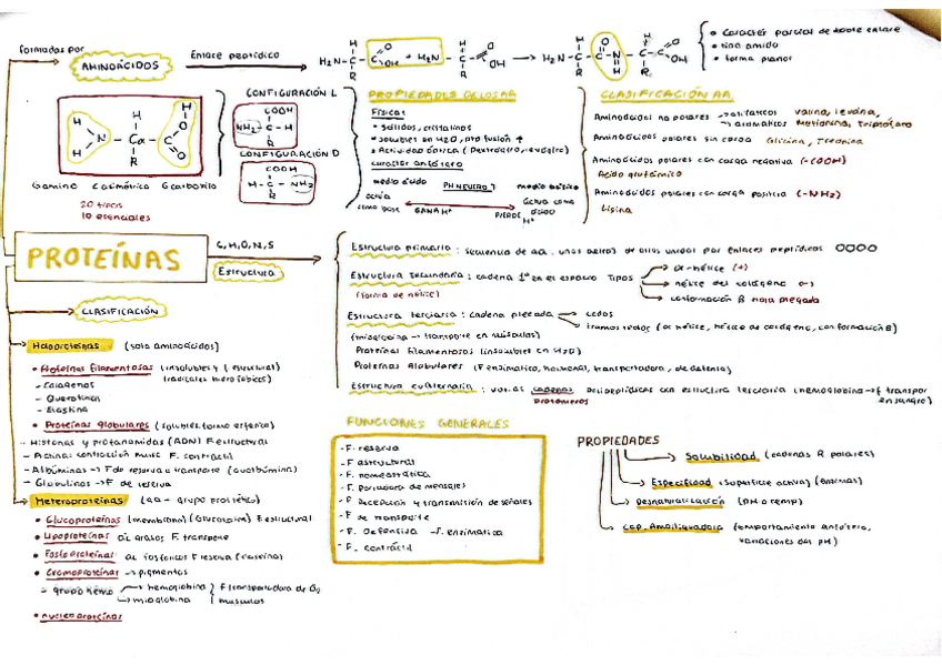 Miniatura del documento esquema-PROTEINAS.pdf