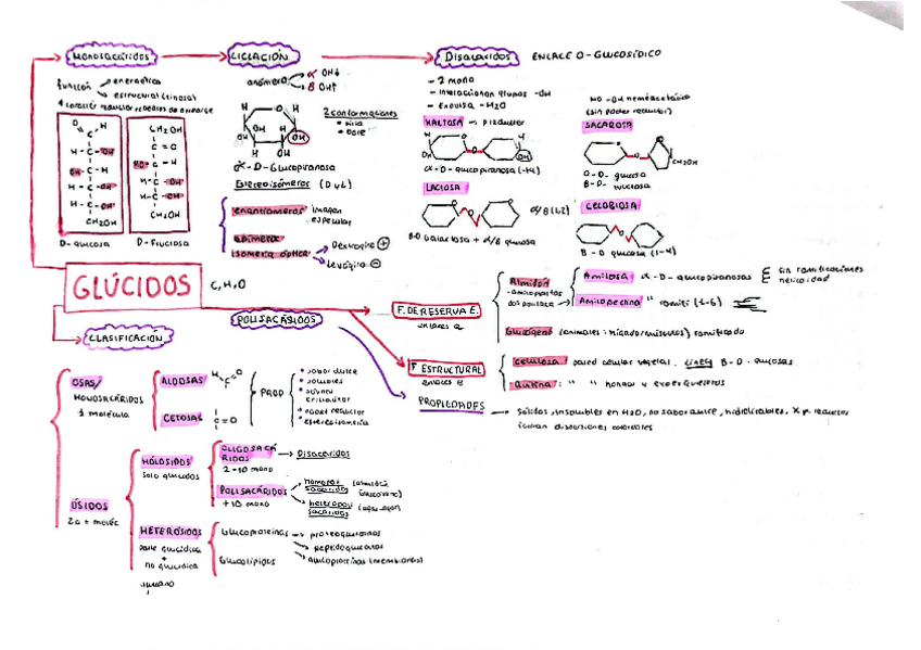 Miniatura del documento esquema-GLUCIDOS.pdf