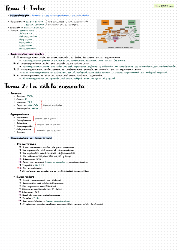 Miniatura del documento Apuntes-completo.pdf