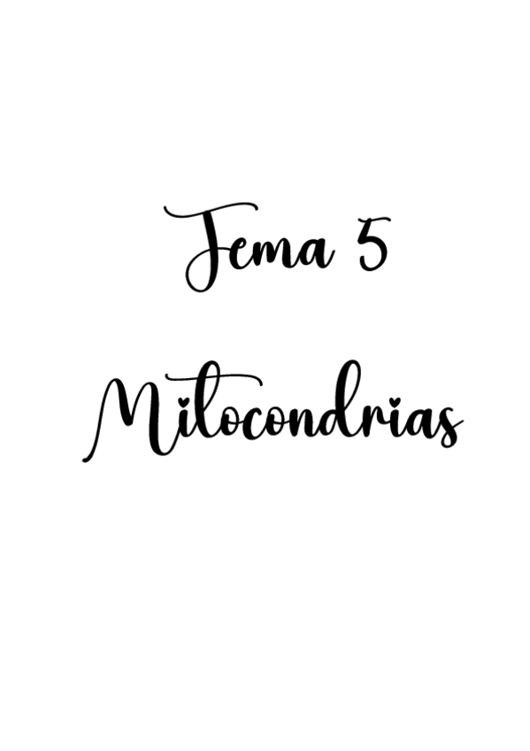 Miniatura del documento Tema 5. Mitocondria.pdf