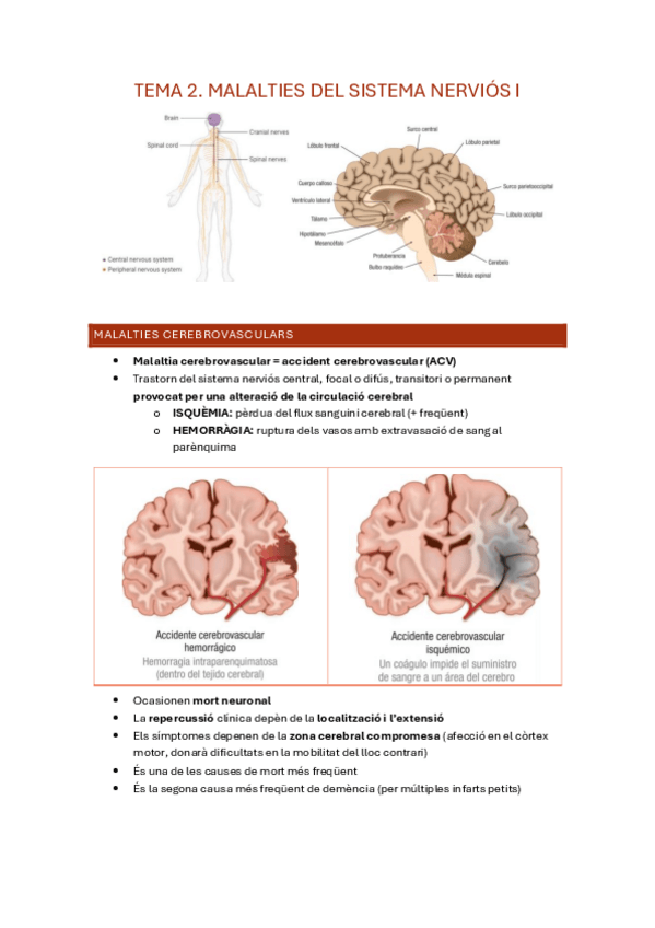 Miniatura del documento Tema-2.pdf